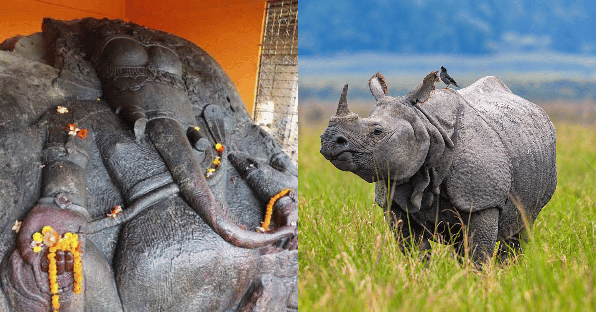 From Tantra-Mantra to Tourism: The Evolution of Mayong and Pobitora
